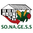 Logo_sonagess-qafvme3uozvncinxml34upffxvs6felj9d8k26mz6c 1